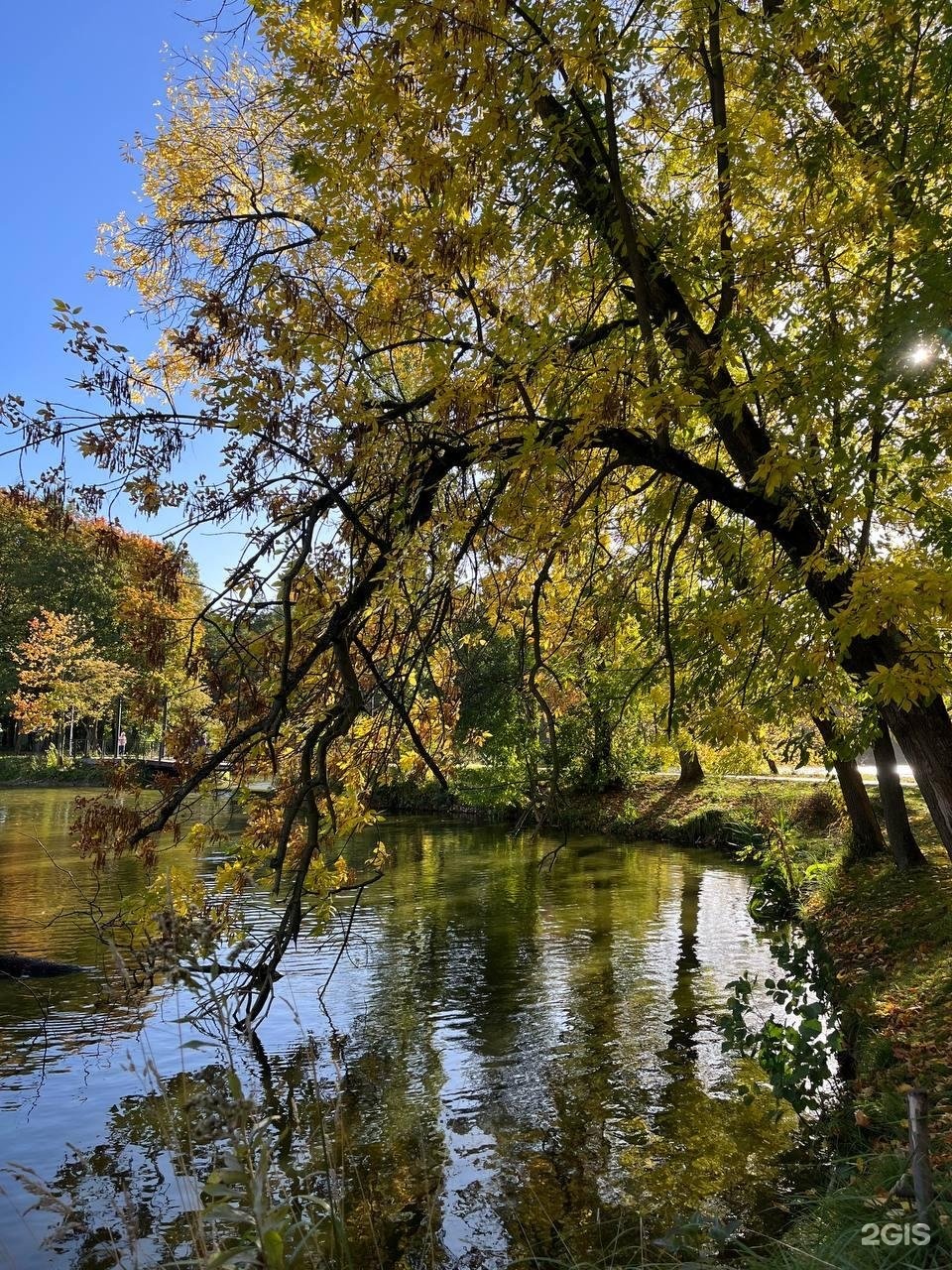 Ландшафтный парк в калининграде фото