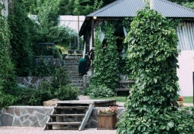 Отель Green Roof в Ижевске