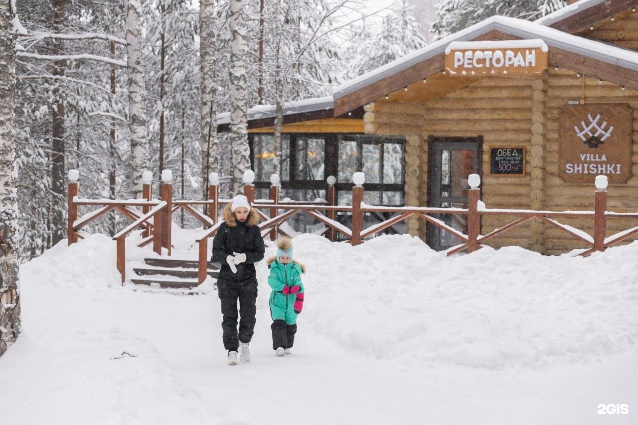Шишки база отдыха омск