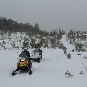 Фото от владельца Crazy Vikings, служба проката снегоходов и квадроциклов