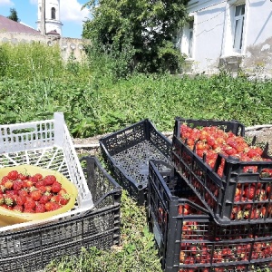 Фото от владельца Приход в честь Рождества Пресвятой Богородицы на реке Калужке