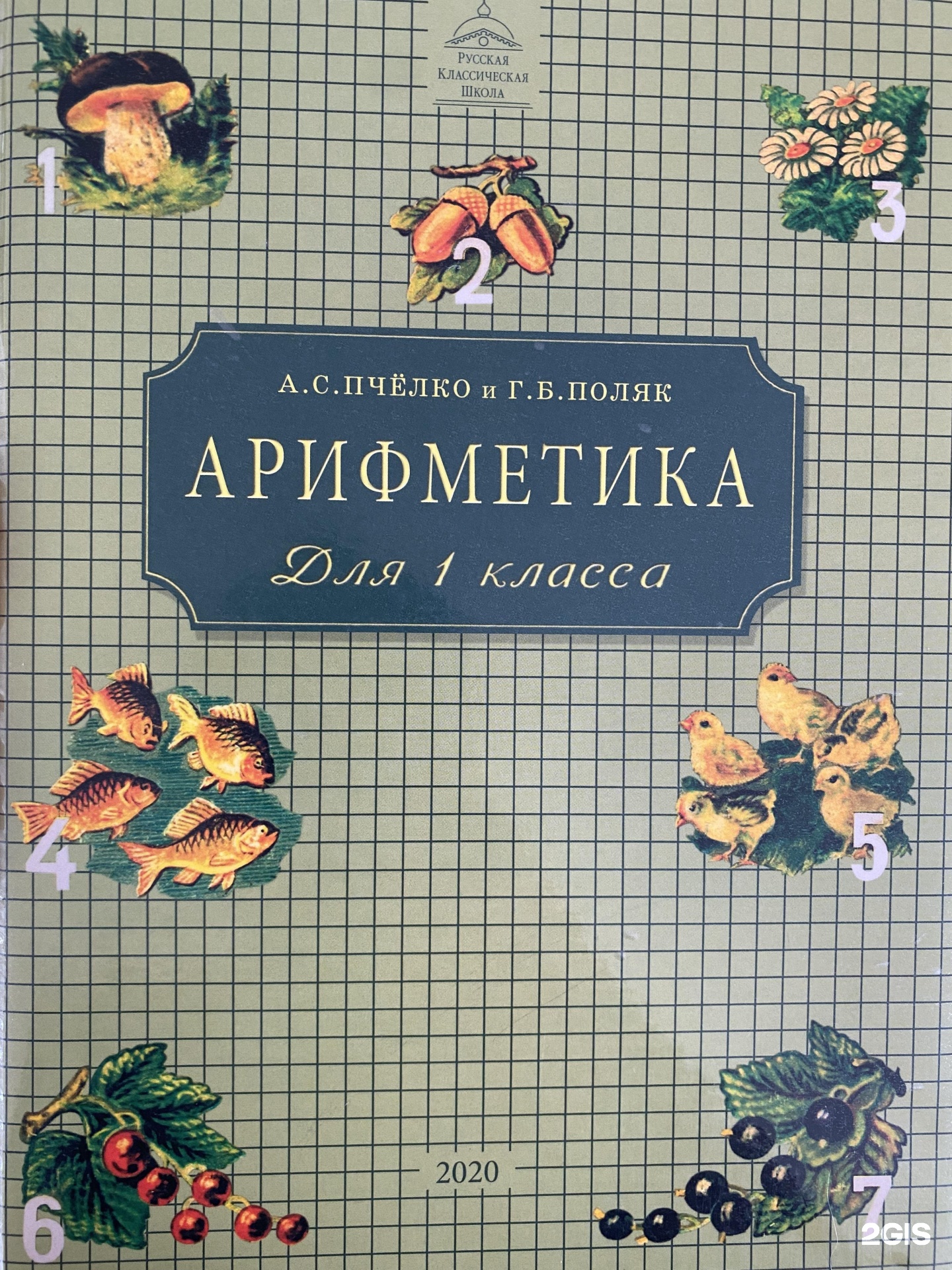 Школа ркш отзывы. Пчелко поляк арифметика для 1 класса. Арифметика 2 класс Пчелко. Арифметика РКШ 1 класс. РКШ арифметика 2 класс.