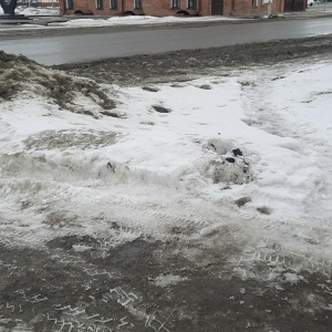 Фото от владельца Бийский краеведческий музей им. В.В. Бианки