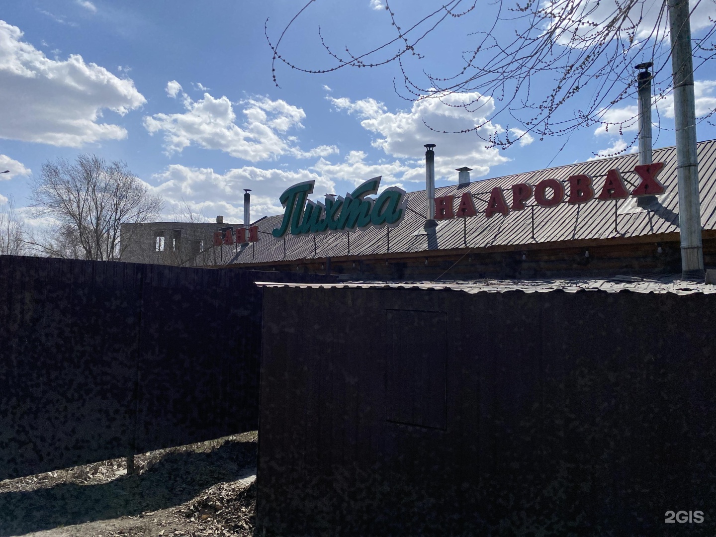 Пихта