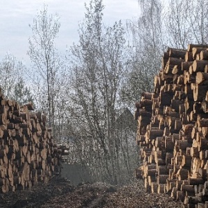 Фото от владельца Компания по производству пиломатериалов