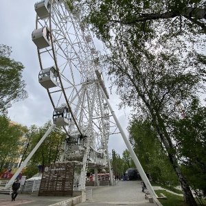 Фото от владельца Летний сад им. М. Горького, парк культуры и отдыха