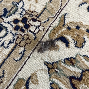 Фото от владельца Taza Kilem, компания по профессиональной чистке ковров