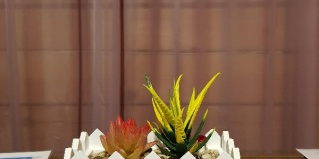 Барангол: Турбаза Иванова дача