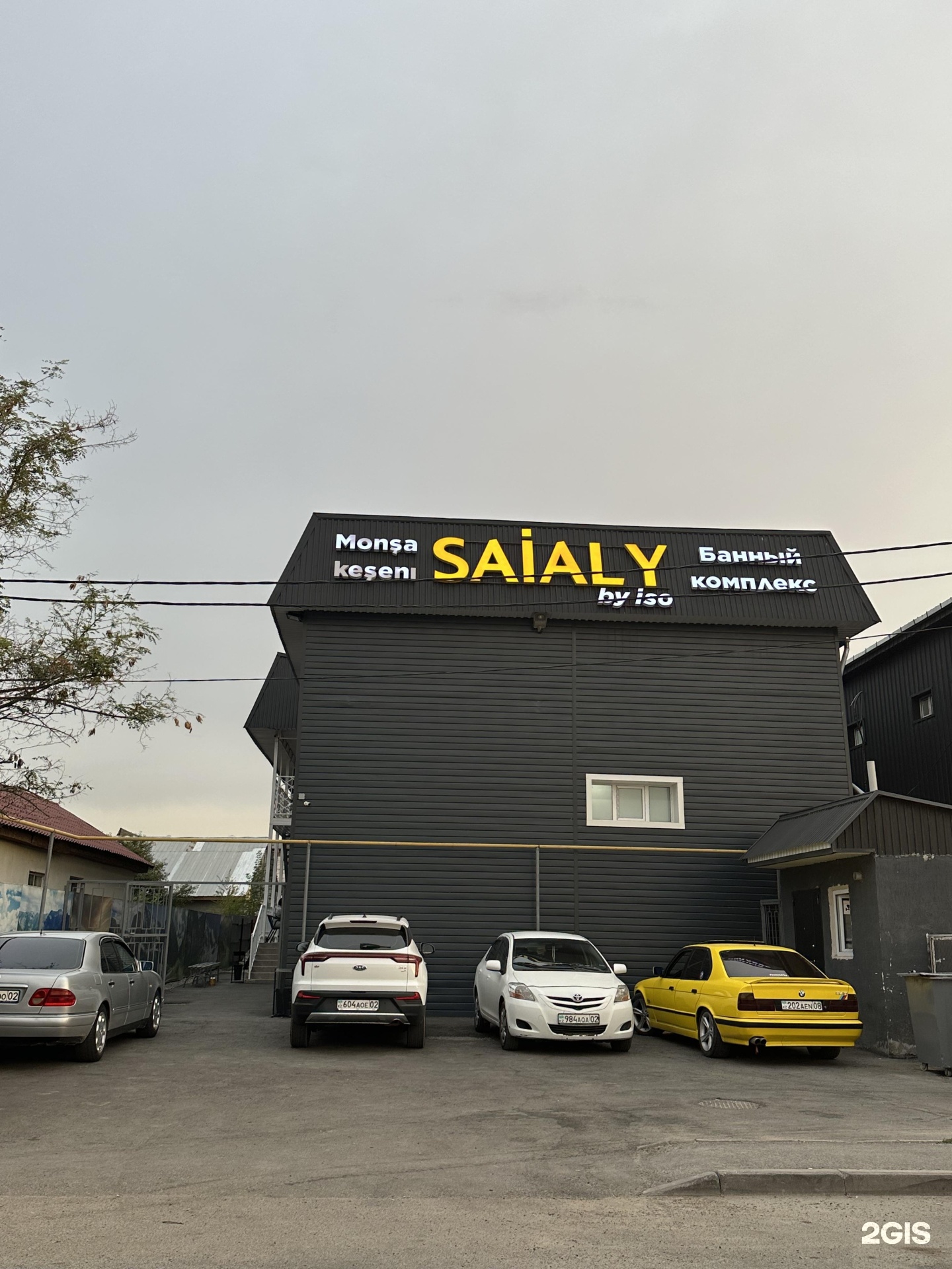 Saialy