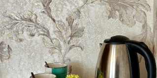 Сириус: Отель Аристократ