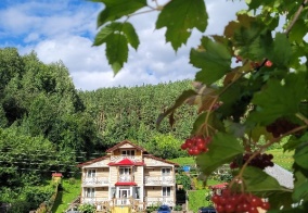 Коттедж Жар-птица в Белокурихе