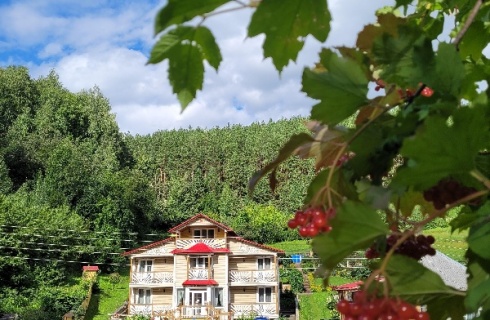 Белокуриха: Коттедж Жар-птица