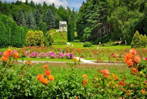 Кисловодск: Отель Звездный