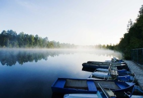 Турбаза Аврора Country House в Ленинградской области