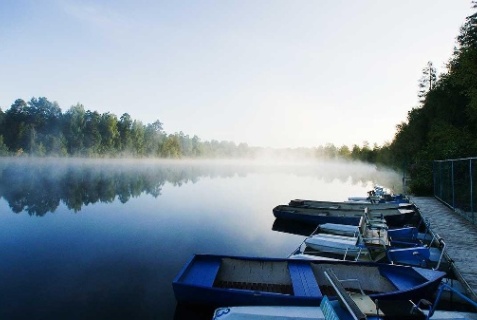 Лужский муниципальный район: Турбаза Аврора Country House