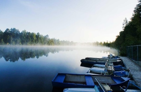 Лужский муниципальный район: Турбаза Аврора Country House