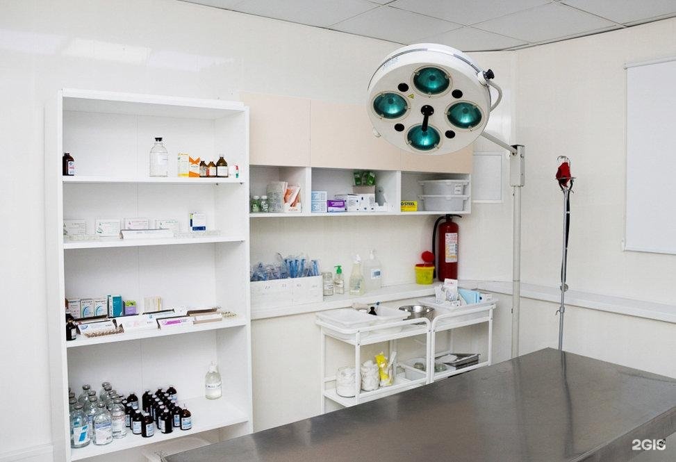 ирбис ветеринарная клиника кемерово пр ленина. веста клиника ветеринарная челябинск. проспект ленина 23/5. ветеринарный кабинет ленина 13 чебоксары. ветклиника веста.