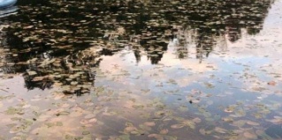 Большие Крупели: Турбаза Аннушка