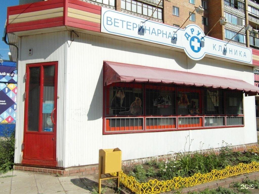 ветеринарная клиника друг. ветклиника друг геленджик. ветеринарная клиника нижний новгород конотопская друг. ветеринарная клиника друг нижний новгород. ветклиника друг, калинина друг на калинина.