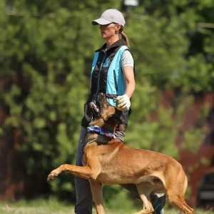 Фото от владельца Федерация спортивно-прикладного собаководства Республики Татарстан