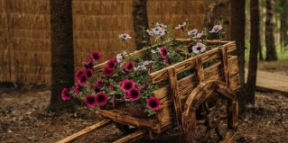 Лужский муниципальный район: Турбаза Живой ручей