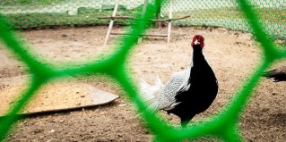 Маяковского: Отель Рыбачка