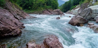 Даховская: Гостевой дом Ореховая роща