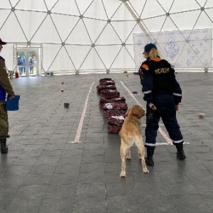 Фото от владельца Динамо, Всероссийское физкультурно-спортивное общество