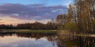 Едимоновские Горки: Гостевой дом Edimonovo village