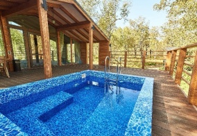 Турбаза Kamchatka forest lodge в Камчатском крае