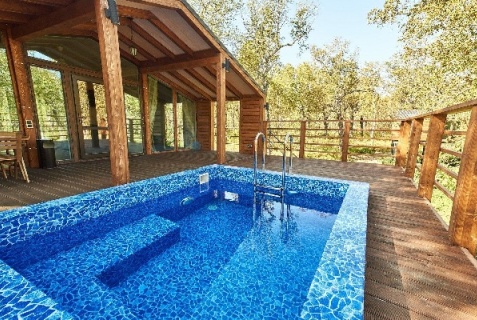 Елизовский район: Турбаза Kamchatka forest lodge