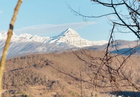 Турбаза МестечКо в Новом Афоне