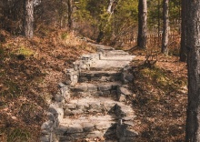 рп. Листвянка: Отель Forest Trail