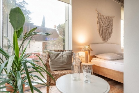 Сочи: Хостел Plants & Friends