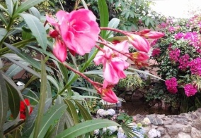 Санаторий Синегорские минеральные воды в Сахалинской области