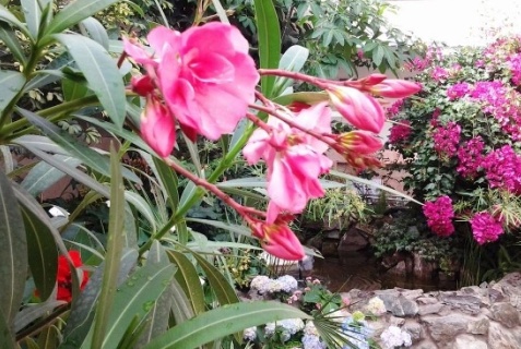 Санаторное: Санаторий Синегорские минеральные воды