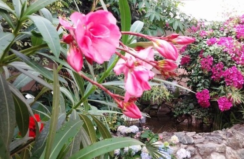 с. Санаторное: Санаторий Синегорские минеральные воды