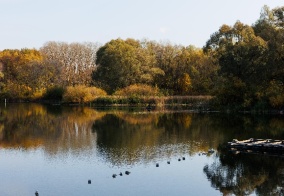 Отель Красивая поляна в Уфе