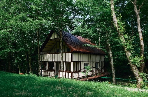 с. Бжид: Турбаза Delfin holiday park