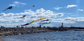 Кронштадт: Отель Форт Константин