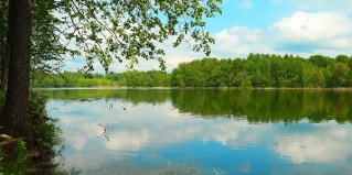 Новосокольнический район: Гостевой дом Антропково
