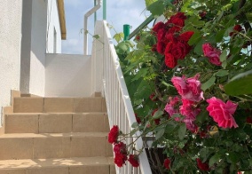 Гостевой дом Гармония в Витязево