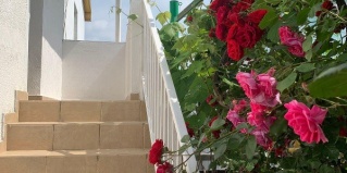 Витязево: Гостевой дом Гармония