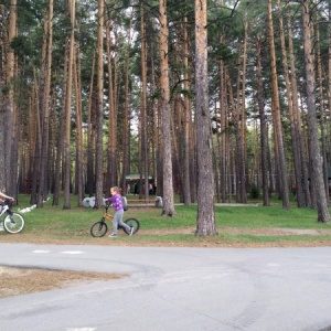 Фото от владельца Заельцовский, парк культуры и отдыха