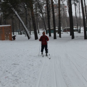 Фото от владельца Сосновый бор, парк культуры и отдыха