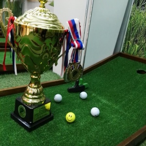 Фото от владельца VIP Mini-golf, торгово-арендная компания