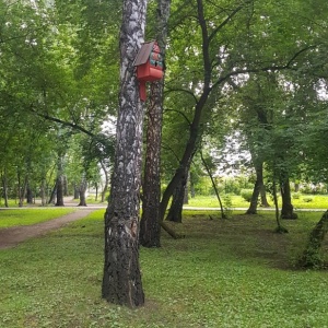 Фото от владельца Берёзовая роща, парк культуры и отдыха