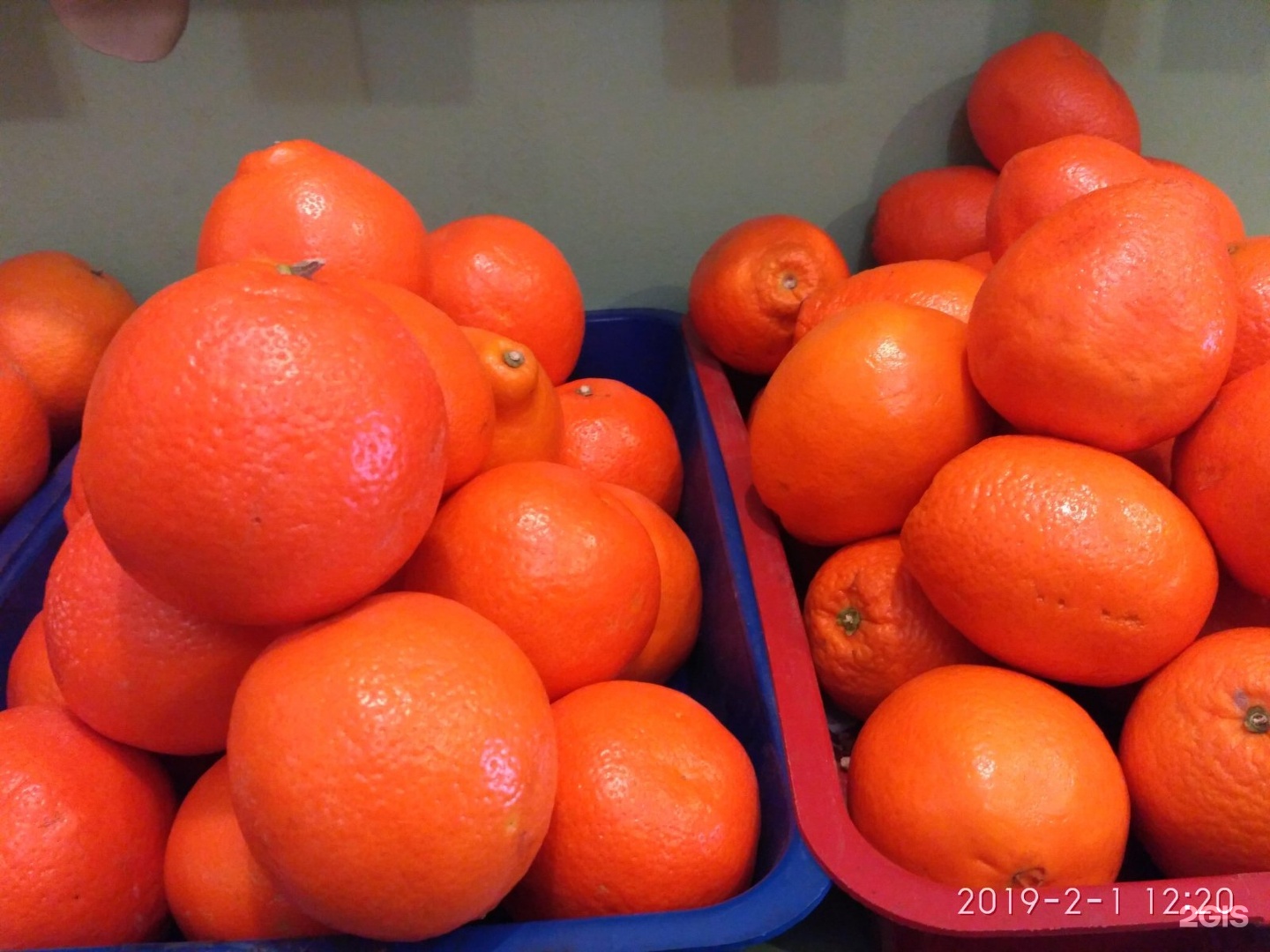 Жирные овощи и фрукты. Чили фрукт продаётся в Магнитогорске. Самый продаваемый фрукт в России 2023. Мембрилья Фруктовая купить.