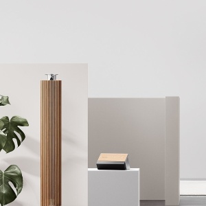 Фото от владельца Bang & Olufsen, фирменный салон