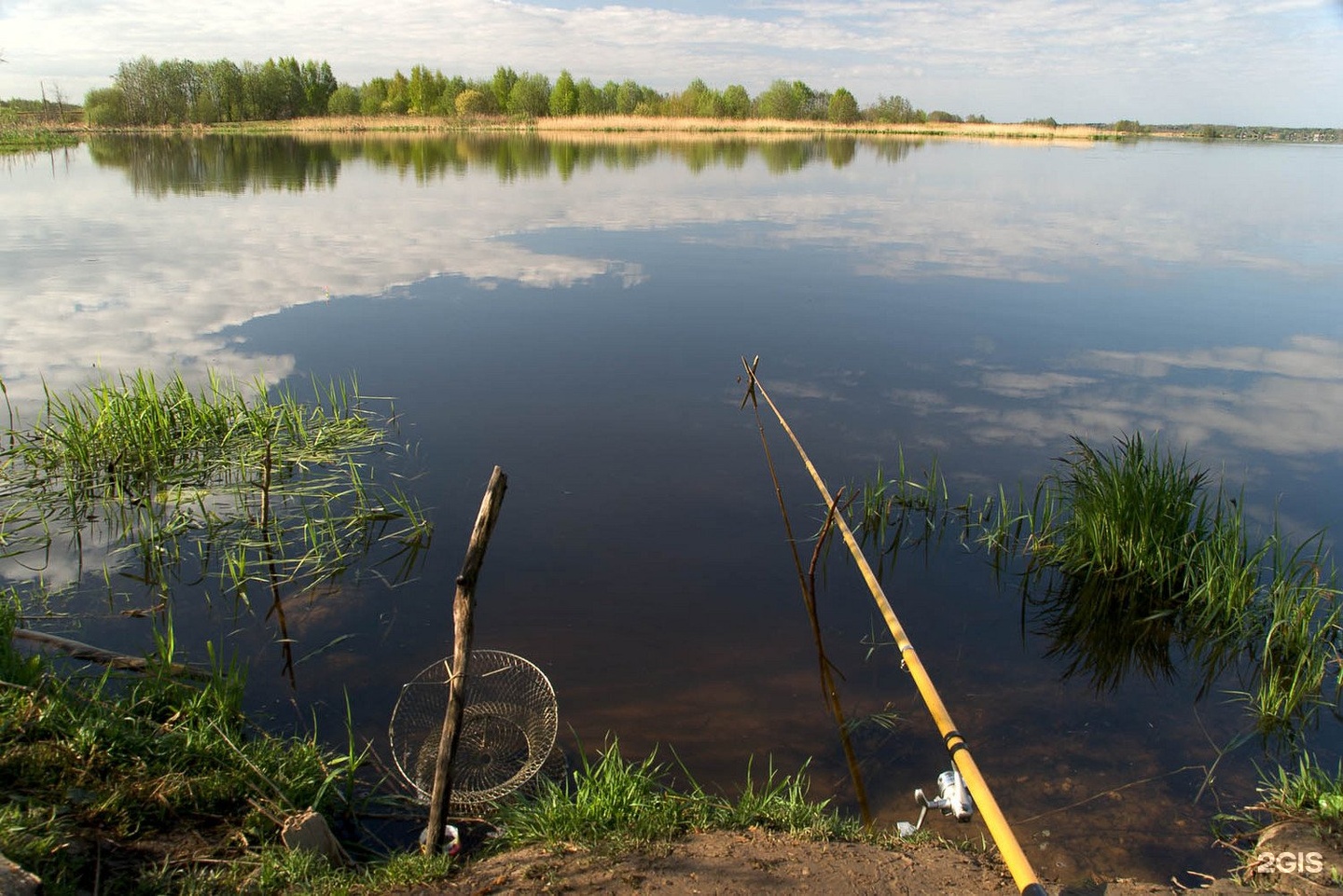 Рыбалка озеро летнее. Вепревское озеро Ярославская область. Природа рыбалка. Удочка на берегу реки. Рыба в озере.